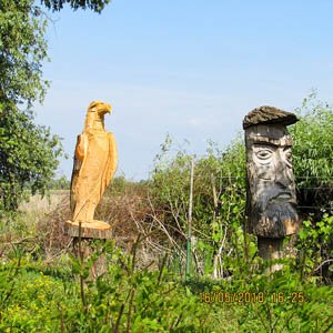 Sculpturi lemn canal Trofilca