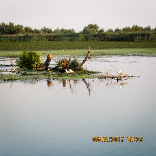 peisaj lacustru Delta Dunarii