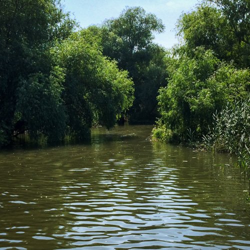 pe canale Delta Dunarii