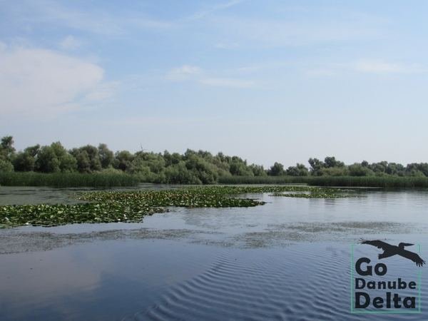 Oferta excursii de o zi în Delta Dunării – Ambarcațiuni lente