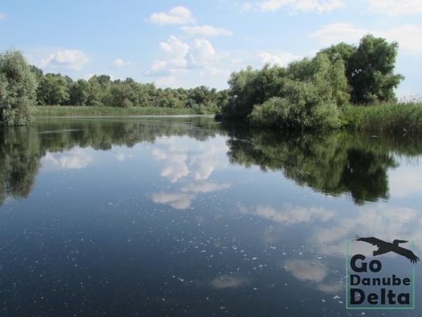Oferta excursii de o zi în Delta Dunării – Ambarcațiuni lente
