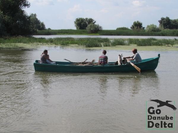 Oferta excursii de o zi în Delta Dunării – Ambarcațiuni lente