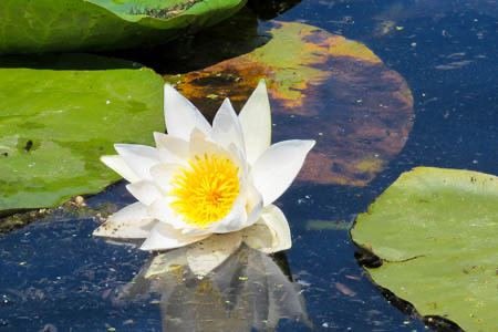 Excursia de două zile în Delta Dunării cu catamaranul