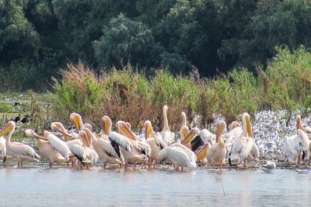 Excursia de două zile în Delta Dunării cu catamaranul