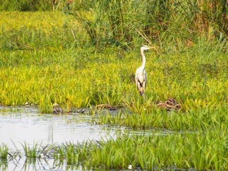 Excursia de două zile în Delta Dunării cu catamaranul