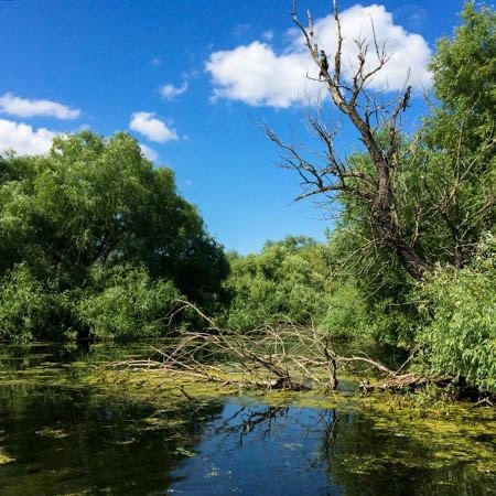 Excursia de două zile în Delta Dunării cu catamaranul