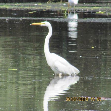 Excursia de două zile în Delta Dunării cu catamaranul