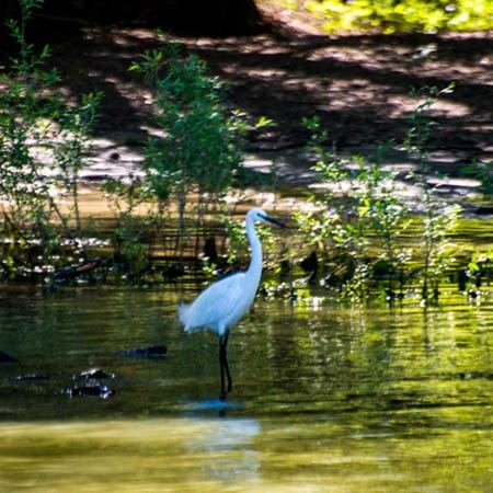 Excursia de două zile în Delta Dunării cu catamaranul
