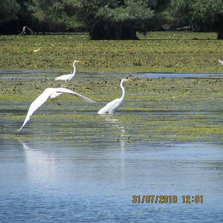 Excursia de două zile în Delta Dunării cu catamaranul