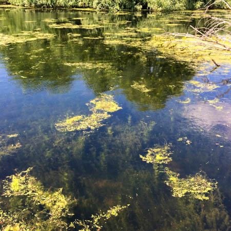 Excursia de două zile în Delta Dunării cu catamaranul