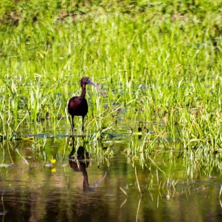 Excursia de două zile în Delta Dunării cu catamaranul