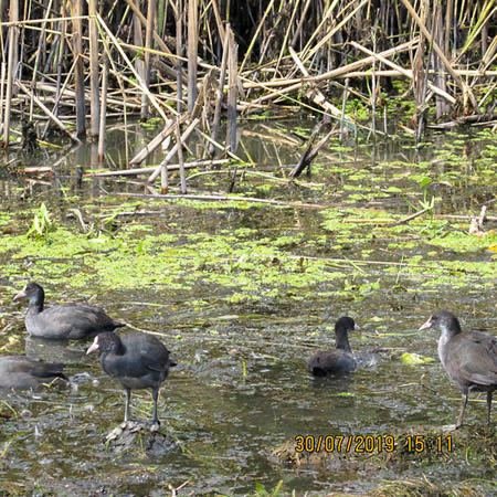Excursia de două zile în Delta Dunării cu catamaranul