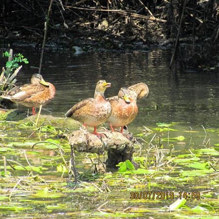 Excursia de două zile în Delta Dunării cu catamaranul