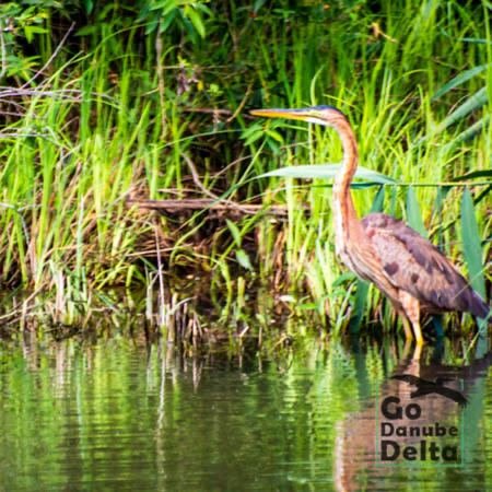 Excursia de două zile în Delta Dunării cu catamaranul