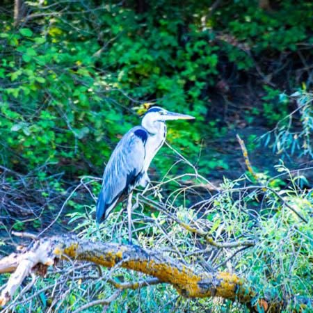 Excursia de două zile în Delta Dunării cu catamaranul