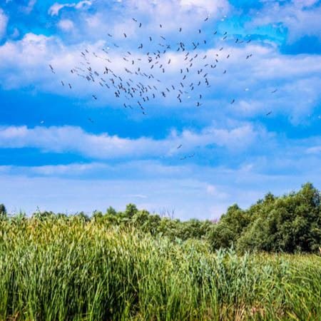 Excursia de două zile în Delta Dunării cu catamaranul