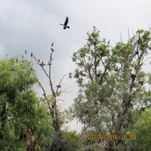 Excursia de două zile în Delta Dunării cu catamaranul