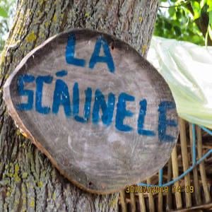 Excursia de două zile în Delta Dunării cu catamaranul
