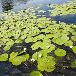 Excursia de două zile în Delta Dunării cu catamaranul