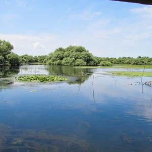 Excursia de două zile în Delta Dunării cu catamaranul