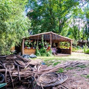 Excursia de două zile în Delta Dunării cu catamaranul