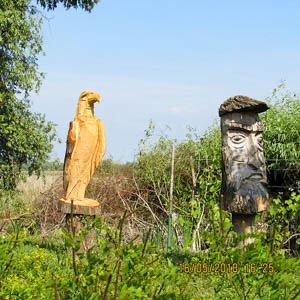 Excursia de două zile în Delta Dunării cu catamaranul