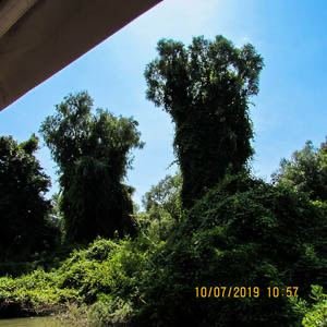 Excursia de două zile în Delta Dunării cu catamaranul