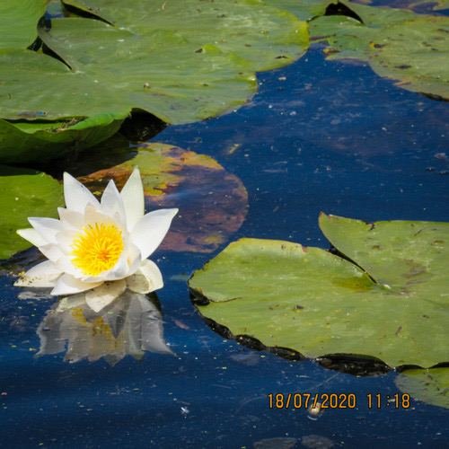 Excursia de trei zile în Delta Dunării cu catamaranul