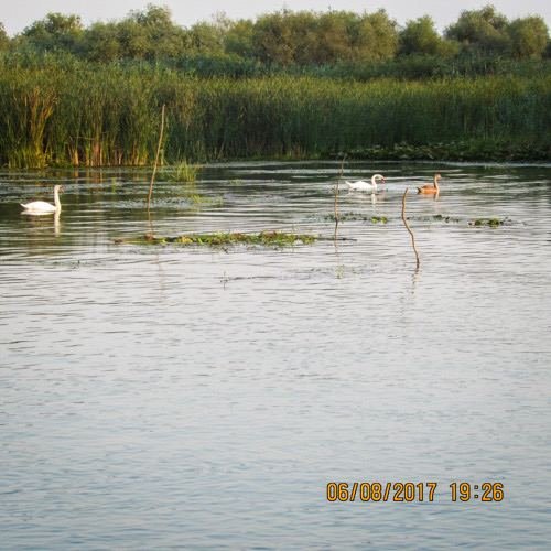 Excursia de trei zile în Delta Dunării cu catamaranul