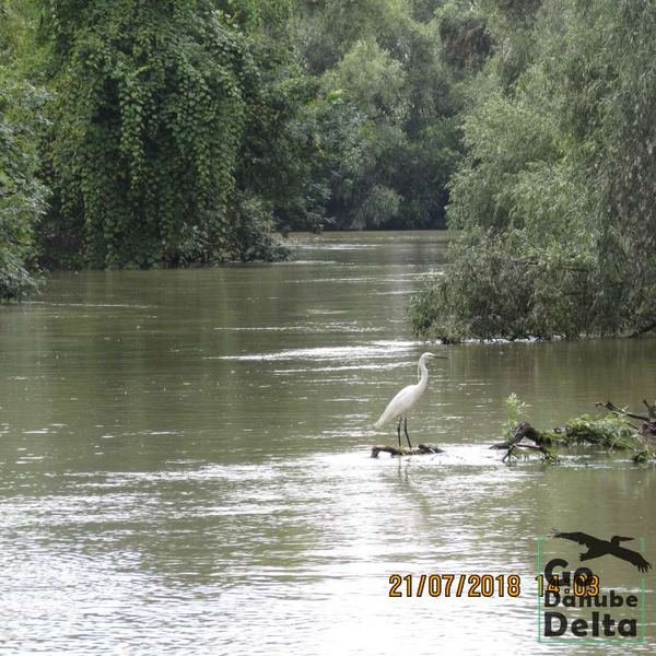 Excursia de trei zile în Delta Dunării cu catamaranul