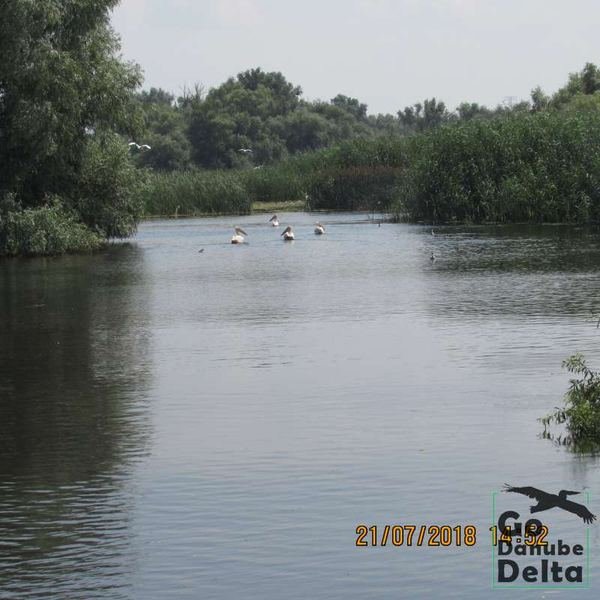 Excursia de trei zile în Delta Dunării cu catamaranul