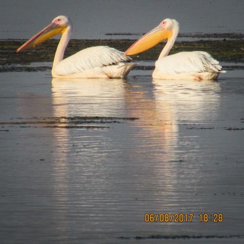 Excursia de trei zile în Delta Dunării cu catamaranul