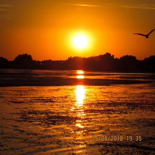 Excursia de trei zile în Delta Dunării cu catamaranul