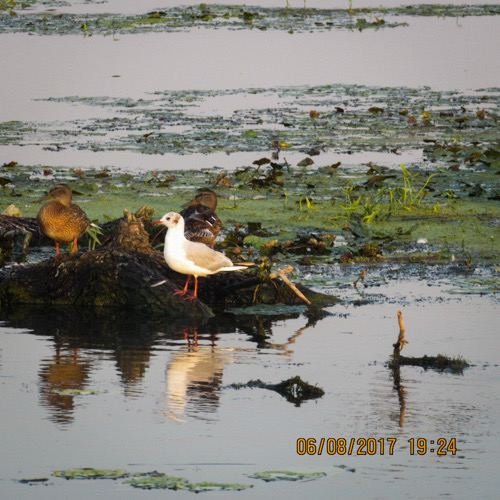 Excursia de trei zile în Delta Dunării cu catamaranul