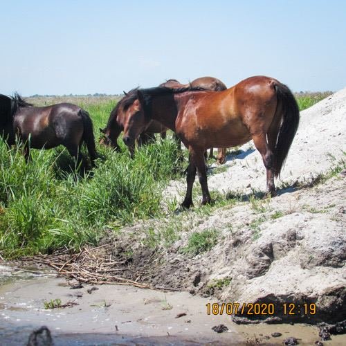 Excursia de trei zile în Delta Dunării cu catamaranul