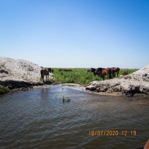 Excursia de trei zile în Delta Dunării cu catamaranul