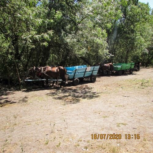 Excursia de trei zile în Delta Dunării cu catamaranul