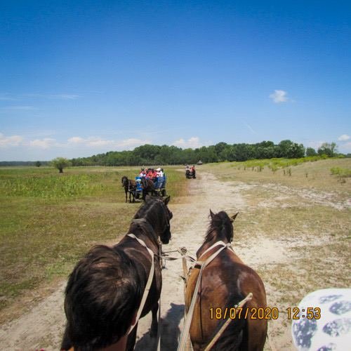 Excursia de trei zile în Delta Dunării cu catamaranul