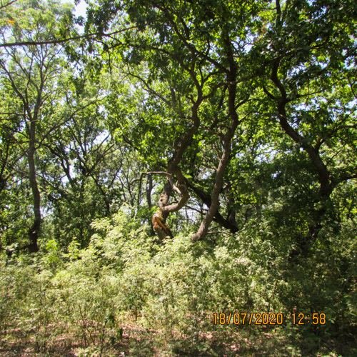 Excursia de trei zile în Delta Dunării cu catamaranul