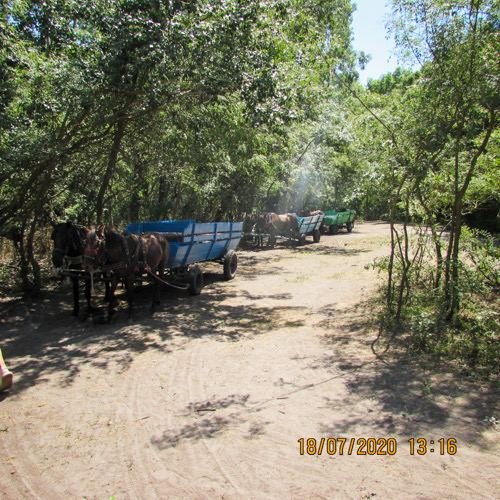 Excursia de trei zile în Delta Dunării cu catamaranul