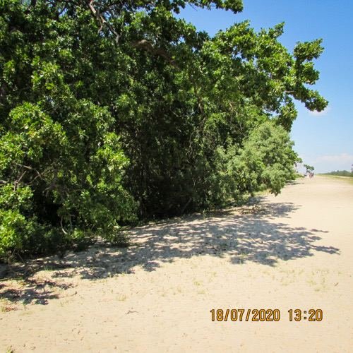 Excursia de trei zile în Delta Dunării cu catamaranul