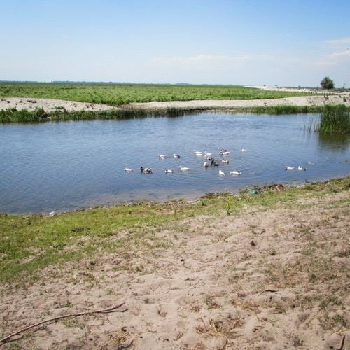 Excursia de trei zile în Delta Dunării cu catamaranul