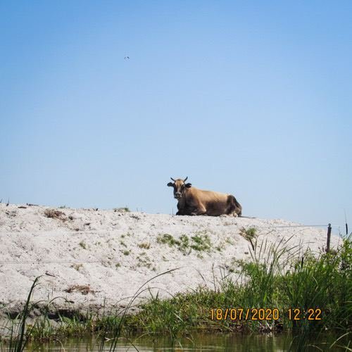 Excursia de trei zile în Delta Dunării cu catamaranul