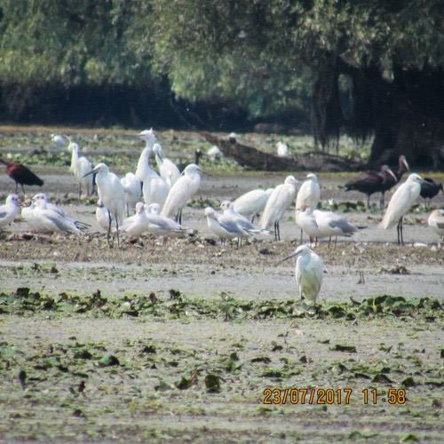 Excursia de trei zile în Delta Dunării cu catamaranul