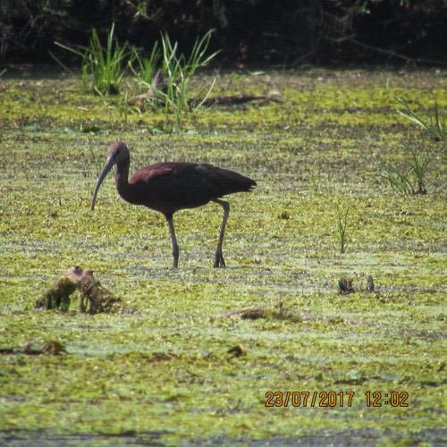 Excursia de trei zile în Delta Dunării cu catamaranul