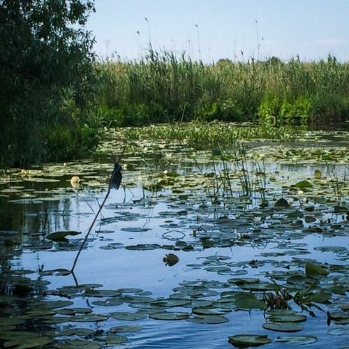Excursia de trei zile în Delta Dunării cu catamaranul
