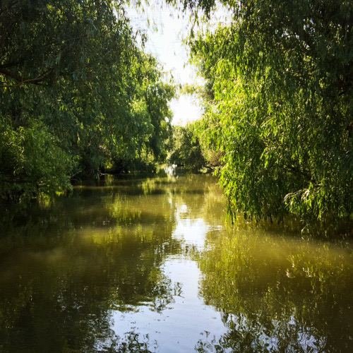 Excursia de trei zile în Delta Dunării cu catamaranul