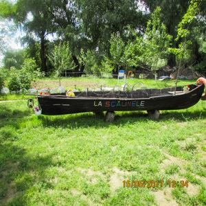 Go Danube Delta