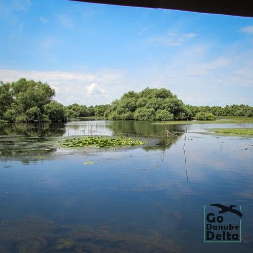 Excursia de patru zile în Delta Dunării cu catamaranul