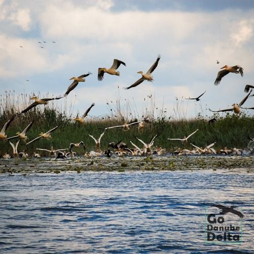 Excursia de patru zile în Delta Dunării cu catamaranul